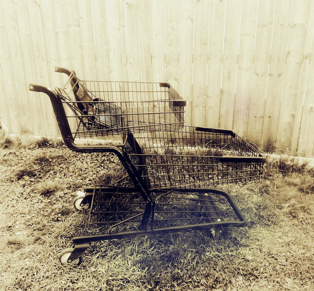 Another casualty of shopping cart abandonment...